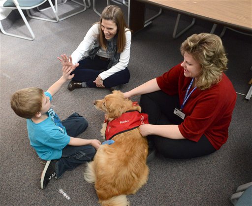 THERAPY DOG
