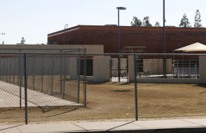 Chainlink Fences