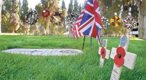 Veterans Day brings many events to E.V. 