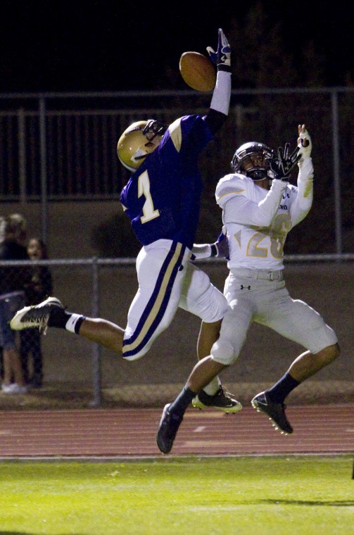 Saguaro at Queen Creek