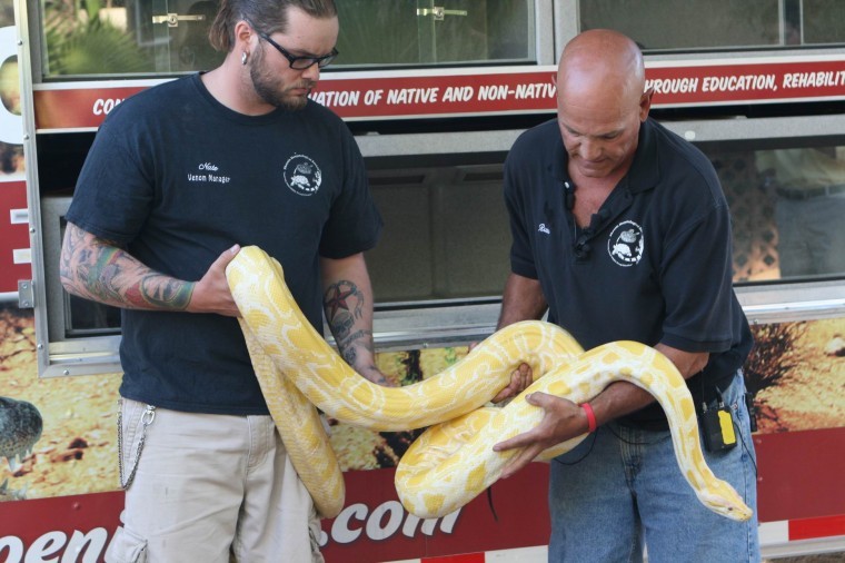 Reptile rescue