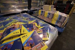 Dex publisher targets Hispanic market 