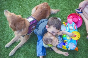 Service Dog