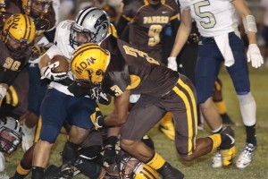 Ironwood Ridge at Marcos de Niza