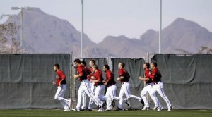 D-Backs pick E.V. site for spring training 