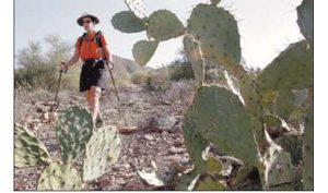 Guided treks lure outdoor enthusiasts to trails 