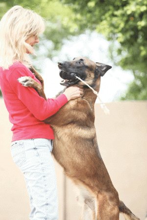 Local K-9 added to war on drugs 