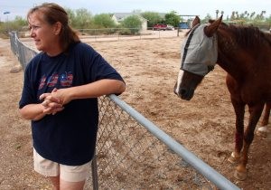 Annexing individual lots causes concern in Mesa 