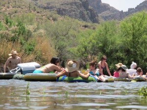 Salt River tubers