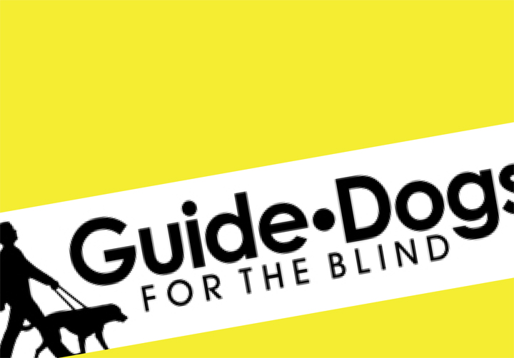 Guide Dogs