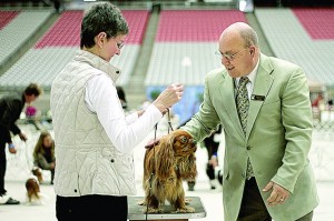 Dog show