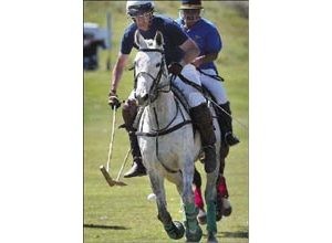 E.V. polo lovers say game is esoteric, but hardly elitist 