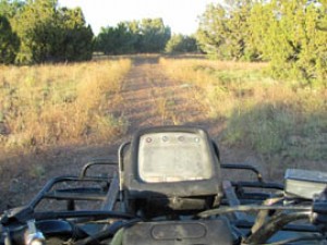 FOREST ROADS