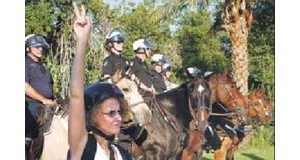 Politics turns ugly as activists lash out 