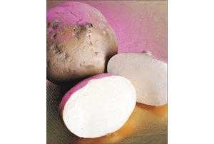 Versatile ‘Mexican potato’ packs a crunchy punch 