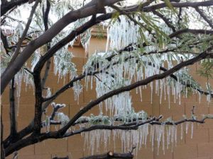 Freezing Temperatures
