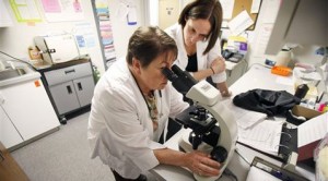 Meltdown affects abortion, birth control 