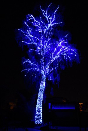 ZooLights