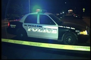 Mesa cop shoots dog at Target store after it attacks