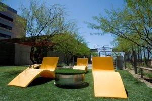 Hospitals’ gardens help the healing 