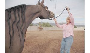 Horse world shows off at Scottsdale spectacle 