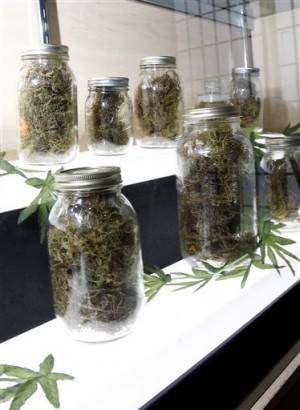 Medical Marijuana