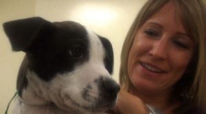 Animal sterilization law in effect 
