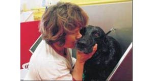 In Focus - It's a dog's life at wash shop 