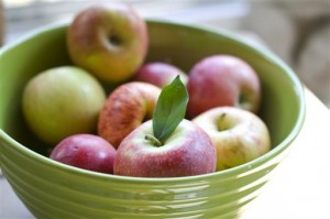 Food-Apple Primer