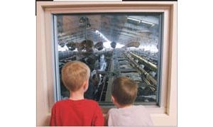 Shamrock Farms tours provide behind-the-scenes whiff 