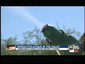 Mosquitoes swarm Valley after recent rains