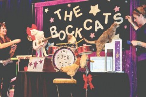 The Amazing Acro-Cats