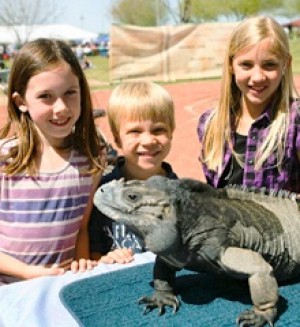 Discovery Zone