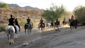 Ponderosa Stables is gem of South Mountain Park 