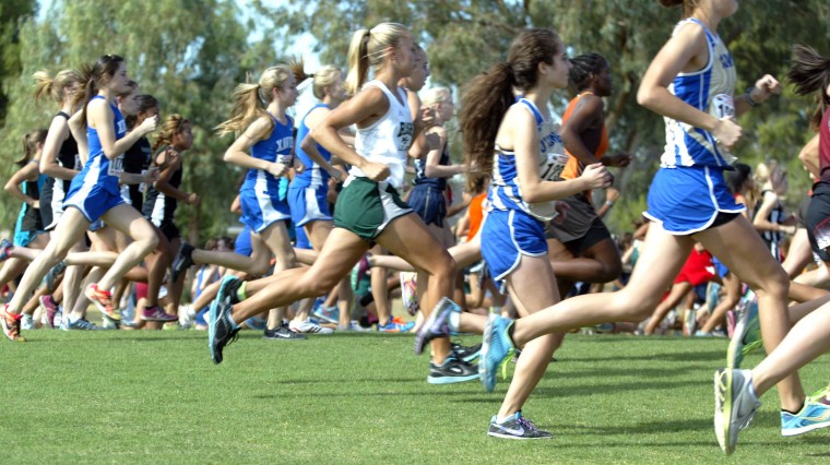 Cross Country State Championships 2012