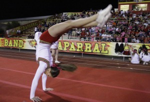 Saguaro at Chaparral