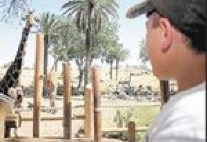 Phoenix Zoo ranks high in kid appeal 