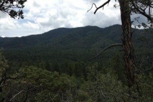 Prescott Hike