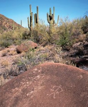 Hike of the month: Cottonwood Creek 