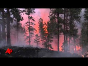 Massive Ariz. Wildfire Expected to Enter NM