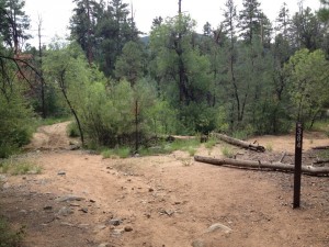 Prescott Hike
