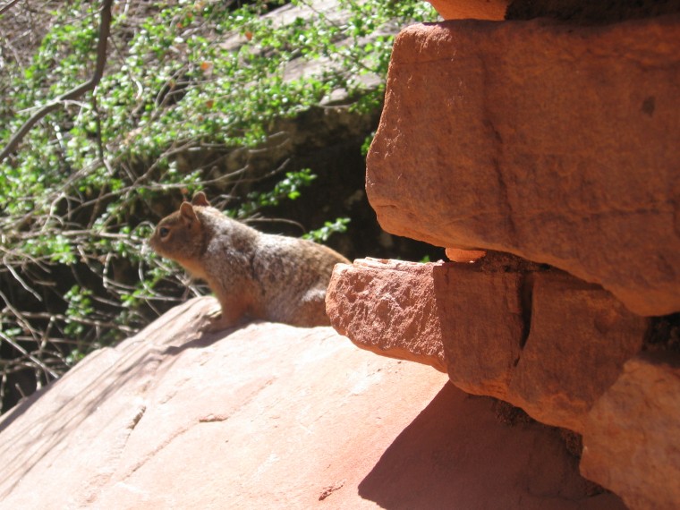 Grand Canyon