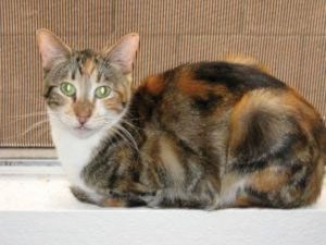 Someone to love: Ellie