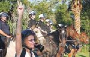 Politics turns ugly as activists lash out 