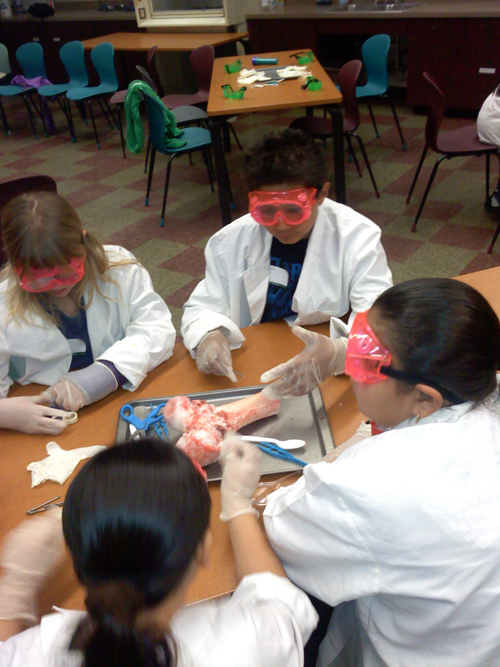 Body Depot Lab