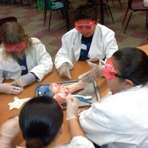 Body Depot Lab