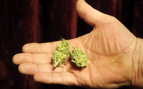 Drive takes aim at medical marijuana proposal 