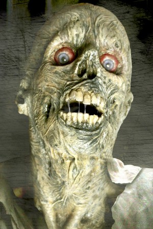Travel Trip Halloween Attractions