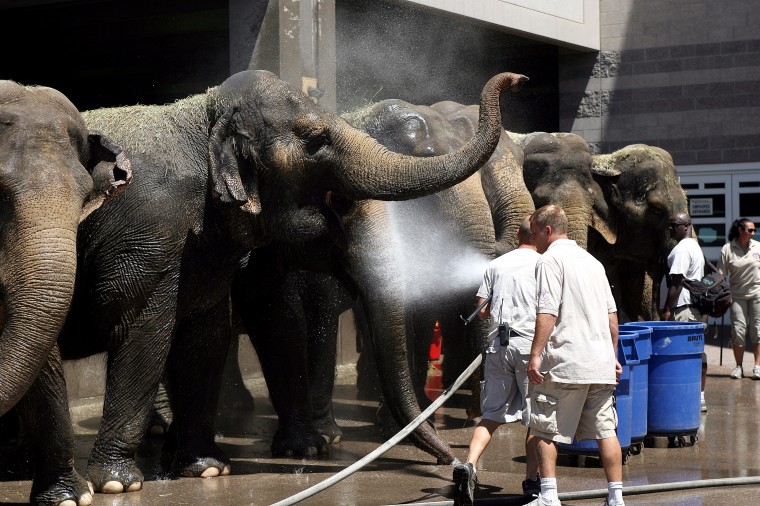 Ringling Bros. and Barnum and Bailey Circus