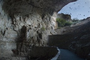 Travel-Trip-Carlsbad Bats